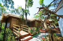 Tree Top-Tree House in Munnar , Munnar Tree Top-Tree House in Munnar , Munnar