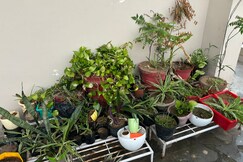 Green Bacchus Stays| Private room with kitchen, Delhi Green Bacchus Stays| Private room with kitchen, Delhi