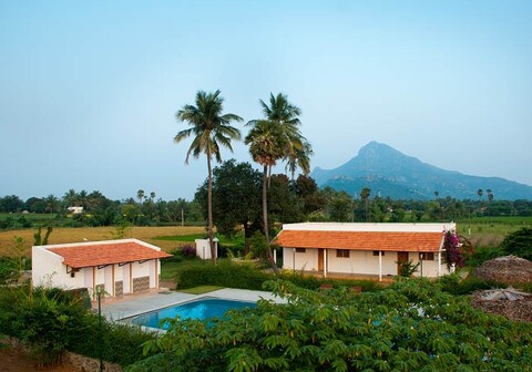 The Mountain Retreat Guest House