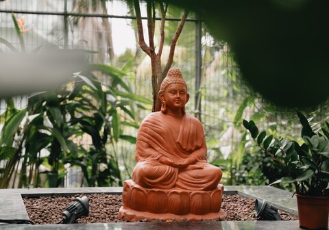 Urban Grove Homestay