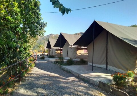 Mountain Whispers - Rishikesh