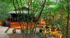 Soochipara Resort, Wayanad Soochipara Resort, Wayanad