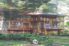 Jungle Jive tree house, Munnar Jungle Jive tree house, Munnar