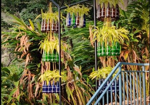 SKYES GLAMPING RESORT