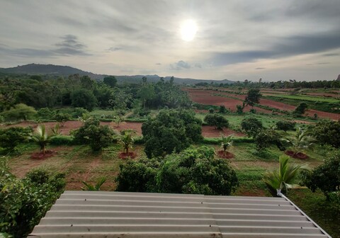 Rabbit Hill Farm stay