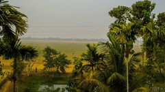 Sarmah Lodge, Kaziranga Sarmah Lodge, Kaziranga