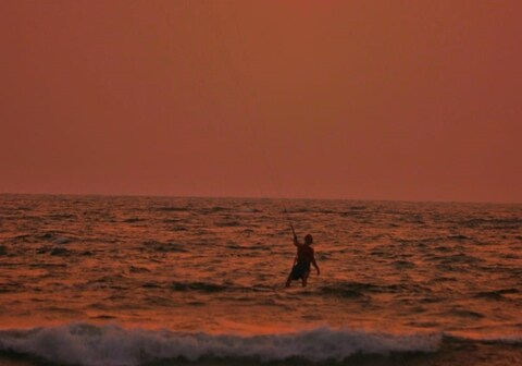 Bluehood Bamboo Huts in Arambol