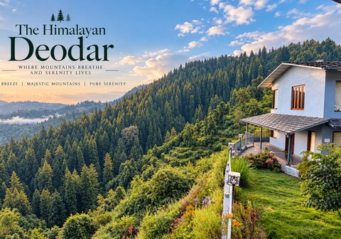 THE HIMALAYAN DEODAR 700 metres to paradise