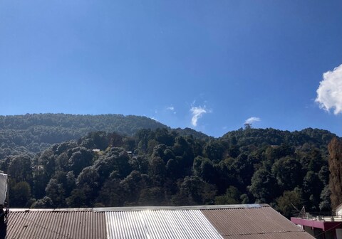 Naina Lodge