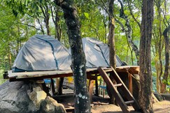 Ever Green Home Stay and Tent, Ooty Ever Green Home Stay and Tent, Ooty