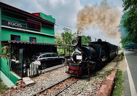 Roots By Mount Olive