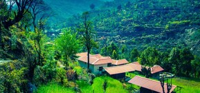 Himalayan Eco Lodge Kund, Chopta Himalayan Eco Lodge Kund, Chopta