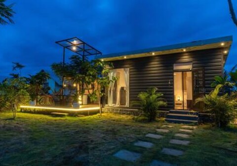 The Adam's Eve by Secret Turtle|Lawn|AC