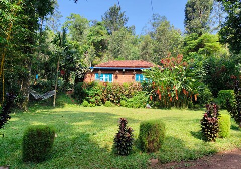 The Dream Cottages