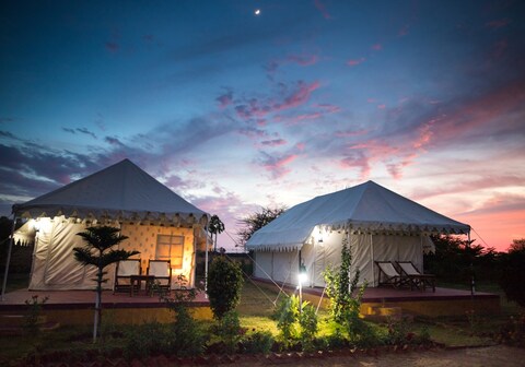 Pushkar Adventure Desert Camp