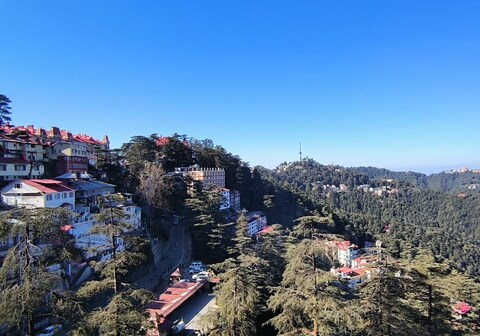 Lords Grey Deluxe-Near Mall road