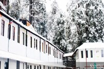 Ambrosia Peora, Nainital Ambrosia Peora, Nainital
