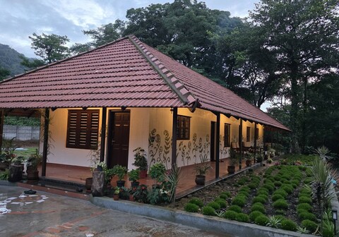 Rainforest Birding Lodge