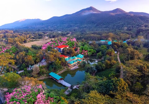 Summit Green Lake Tea Resort & Spa.