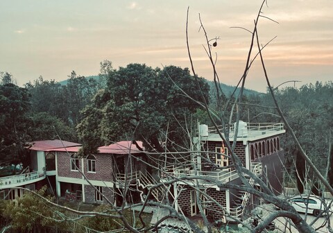 Jungle Tale | Huts & Treehouses