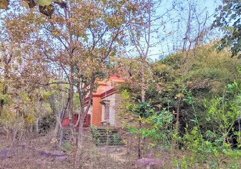 Bagoha Wilderness retreat Homestay