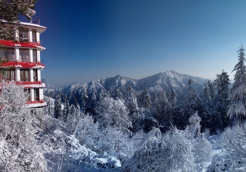 Evolve Nature Resort, Baldeyan, Naldehra, Shimla