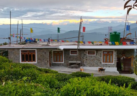 The Cherry Blossom Homestay By StayApart