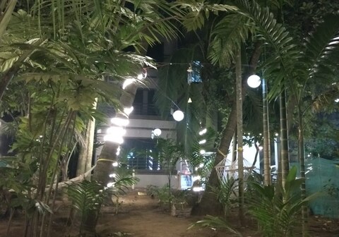 Crazy Coconut - A Backpacker Hostel