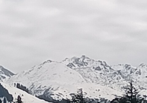 Prem Home Stay Cottage