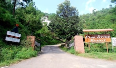 Pine Drive Resort, Kasauli Pine Drive Resort, Kasauli