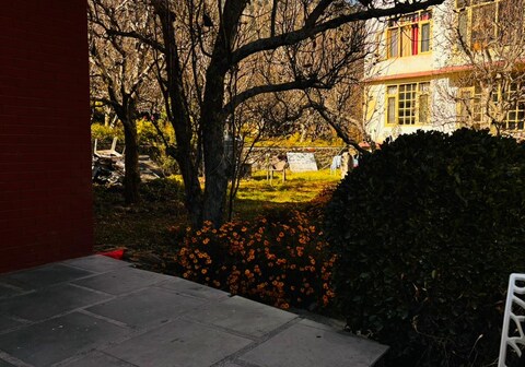 The Pleasant Home Mountain View