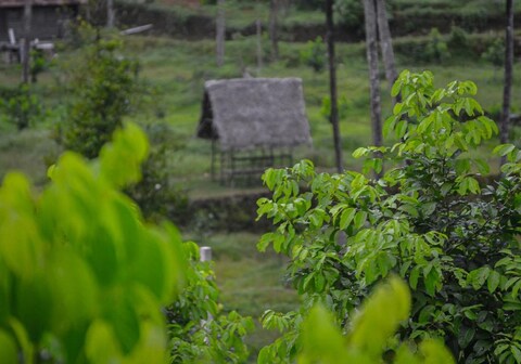 In To The Roots Farm and Resorts