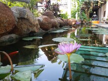 E Green Farm House, Pondicherry E Green Farm House, Pondicherry