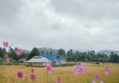 Ziro backpackers yard
