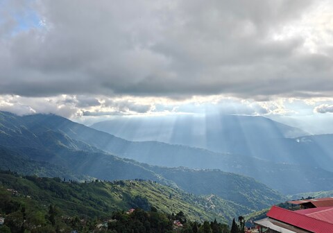 Gingko serene Homestay