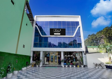 Collection O Uttaranchal University Premnagar