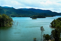 Silver Green Holiday Enclaves, Wayanad Silver Green Holiday Enclaves, Wayanad