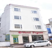 hotel pegaam, Amritsar hotel pegaam, Amritsar