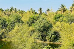 The River homestay, Coorg The River homestay, Coorg
