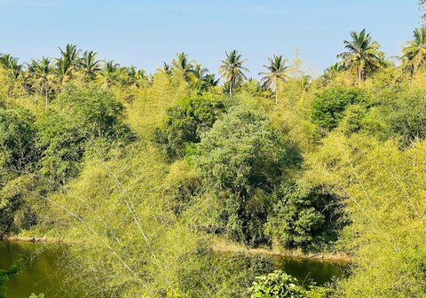 The River homestay