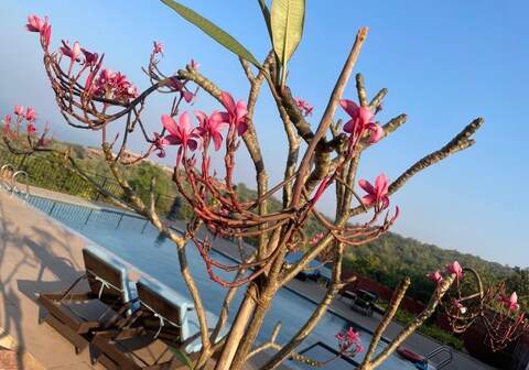 O' Carol 1RK Agastya Sea View Apartments Harnai