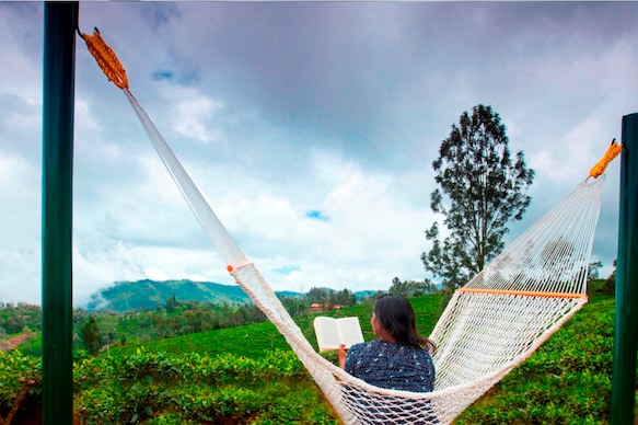 Teanest Nightingale by Nature Resorts and Stays