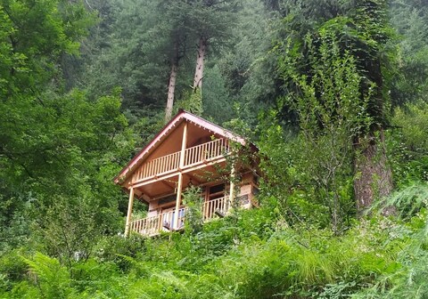 Jungle Trails Cottage