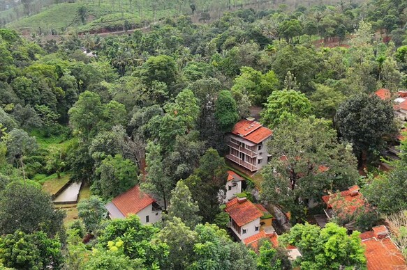 Safari Hills Vythiri