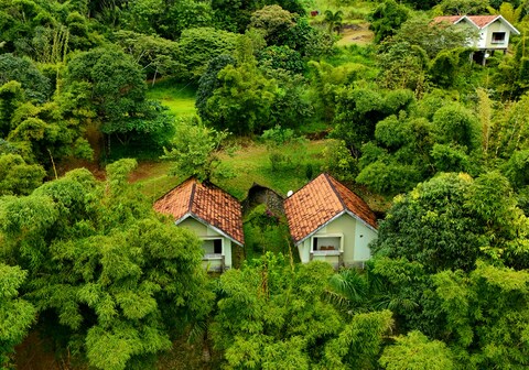 Elenor Cottage Munnar