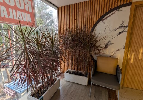 Hotel Rose Manor SUITES