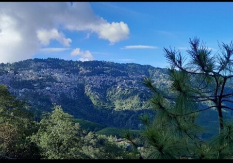 Golden Pekoe Homestay