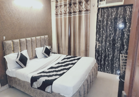 Green Snapper Kamla Nagar