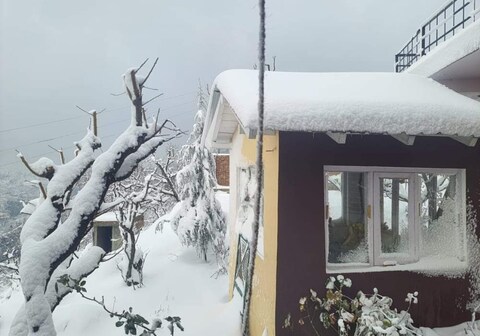 Siya Ram Vatika Pure Vegetarian Homestay