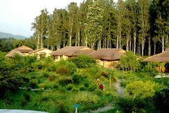 Jim's Jungle Retreat, Corbett Jim's Jungle Retreat, Corbett